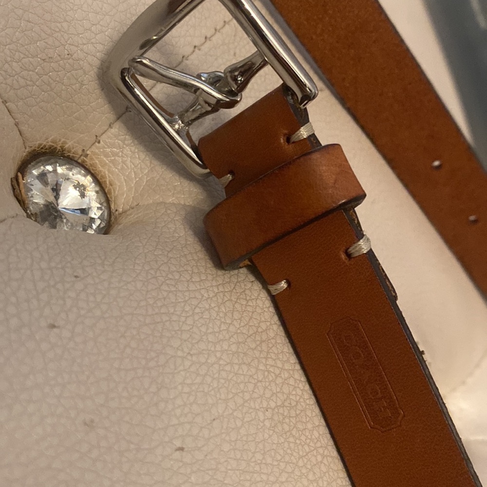 Brand new never work coach belt - Picture 2 of 4